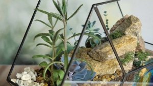 Флорариум своими руками. Цветочная композиция с суккулентами. Сделать подарок самому. Необычная идея