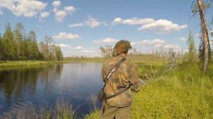Рыбалка На Таёжной реке. Рыбалка На Спиннинг. Летняя Рыбалка. Рыбалка в Карелии