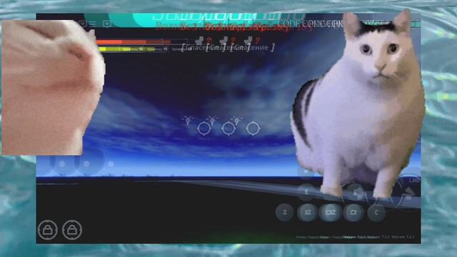 Всем здарова