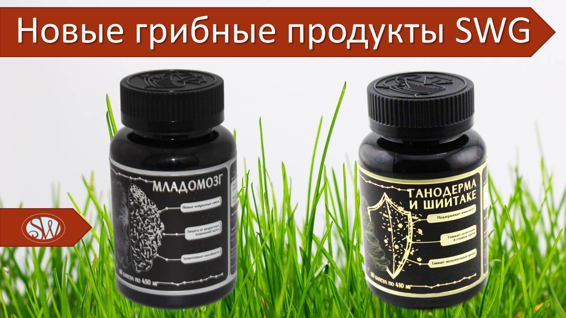 Фунготерапия - продукты с грибами в составе