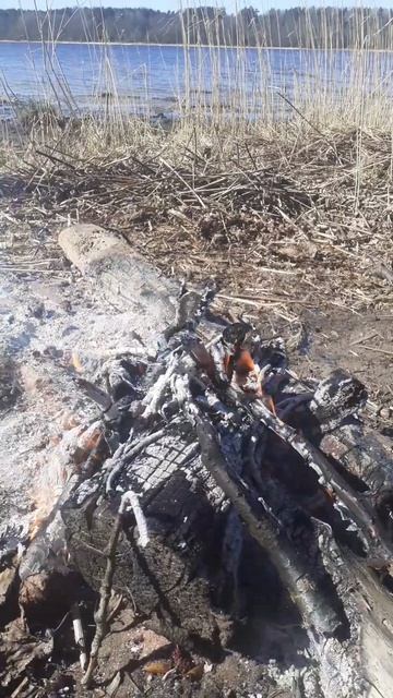 ЛЕН.ОБЛАСТЬ 250426 _ МОИМ СО3НАНИЕМ...