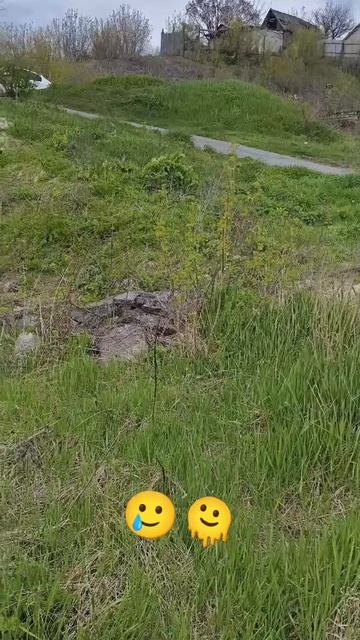 не более высокоразвитая цивилизация 🫠🥲