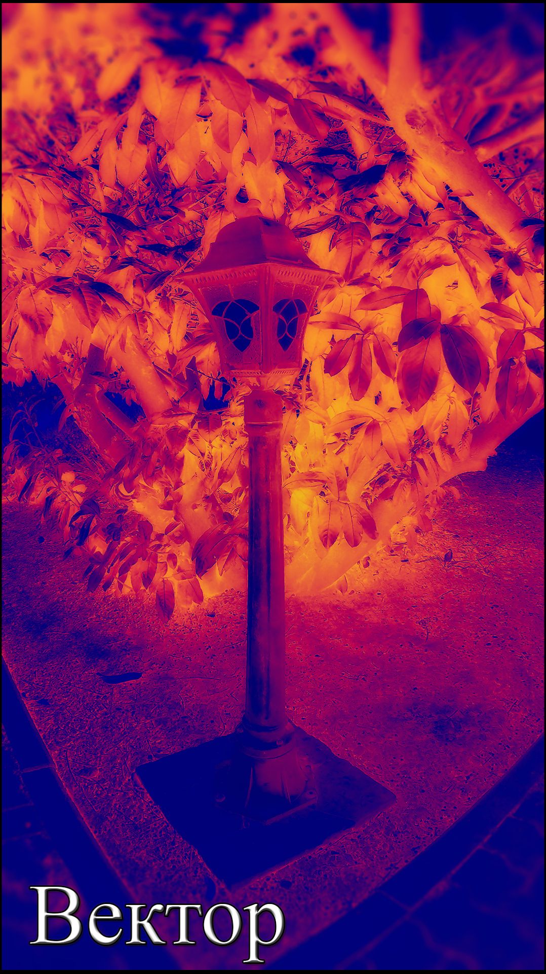 Rossijnin - Вектор