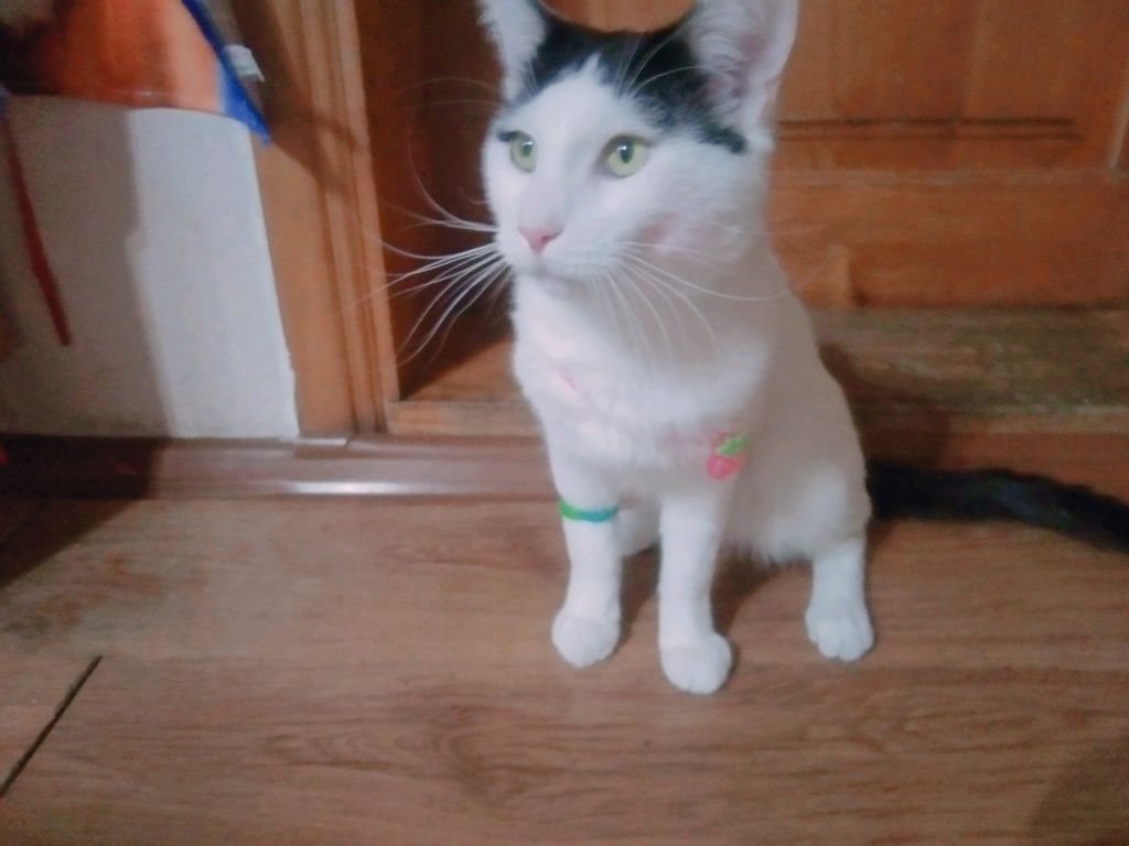 🧀+🍞= ням-ням