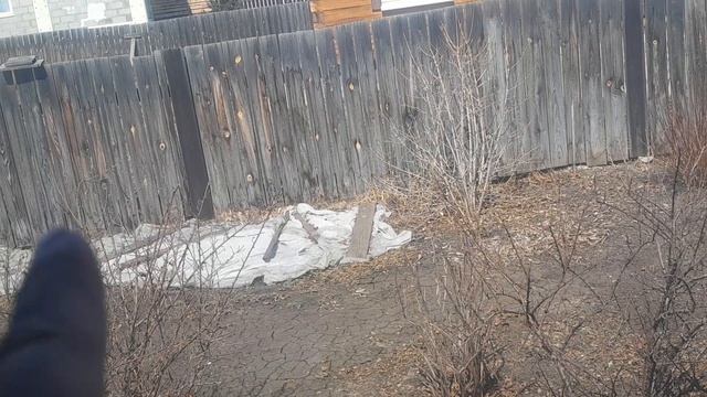 Мой маленький🏡домик, Сибирской🏘 деревне/Цветы🌸после подкормки радуют/По🏡Домашнему у нас.