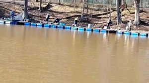 25.04.26 г. РК Волна.