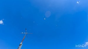 25.04.2026 г Гоняю Голубей ,по Супер!!!