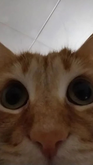 ыххыхыхыхыхыхвхыхыхыхыхыхыххыыхыхых