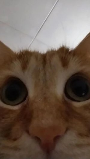 ыххыхыхыхыхыхвхыхыхыхыхыхыххыыхыхых