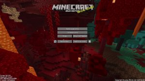 minecraft на сер.... reallyworld