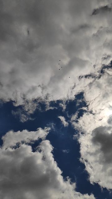 VID_20260425_102253.mp4