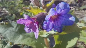 Месяц начался.