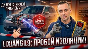 Lixiang L9 с пробоем по изоляции. Диагностируем проблемный компонент #электромобиль #lixiang #evcar