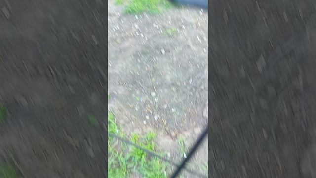 745.mp4 до того ни дом из