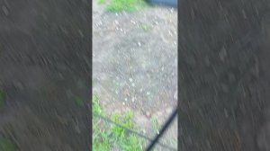 745.mp4 до того ни дом из