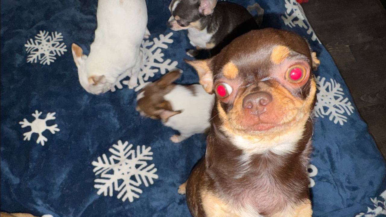 Доброго всем утречка и легкого начала недели.