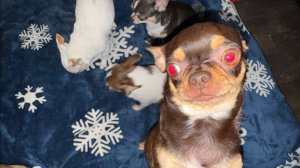 Доброго всем утречка и легкого начала недели.