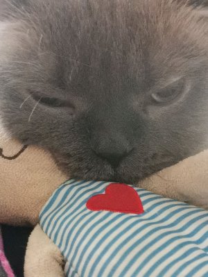 Постройка дома в Реальной жизни