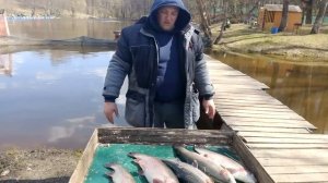 25.04.26 г. РК Волна.