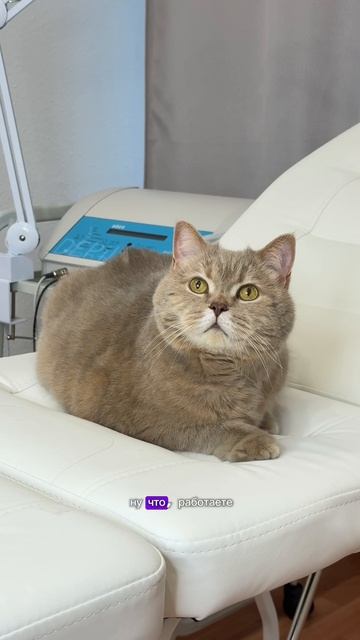 Даже если вы немного мохнатые :)