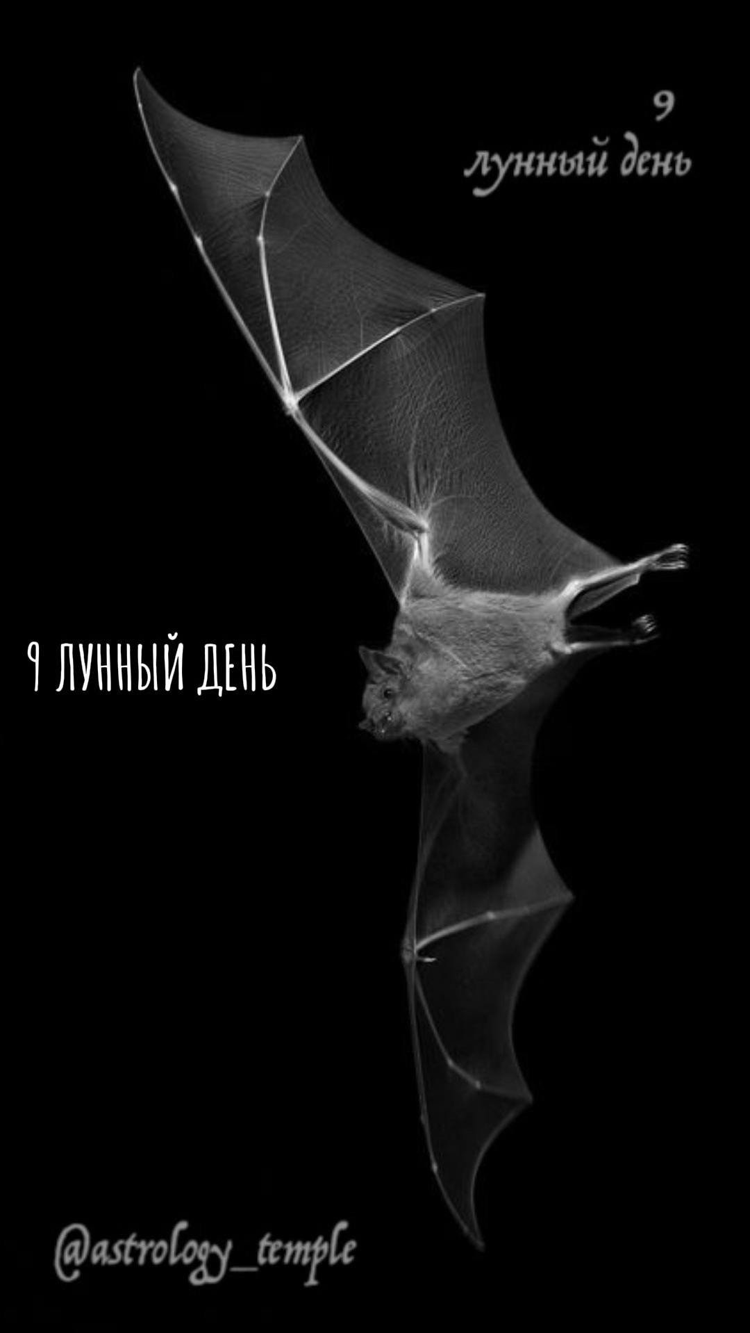 📅 Воскресенье, 26.04.2026 🌛 9 Лунный день 🌓 Растущая Луна в Деве (для Дев знаковый период)🪄