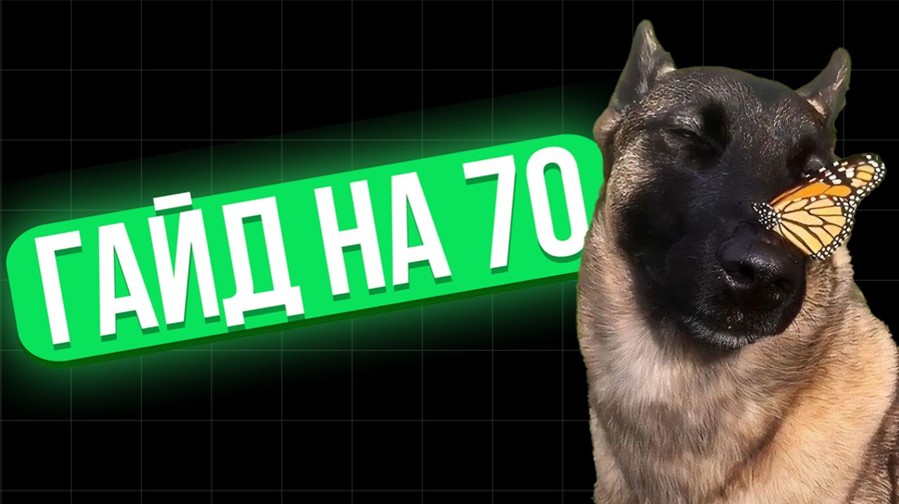 Как подготовиться к егэ на 70 баллов за месяц?