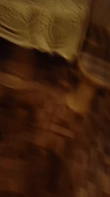 взвешиваем чемодан (спс за 150 подписчиков)