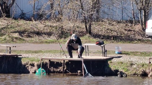 Светлые Горы Форель7 25.04.2026г.