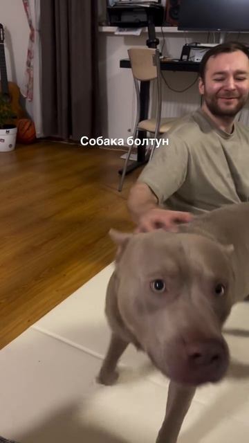 подписывайтесь будет интересно