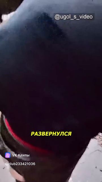 поставь лайк и подпишись