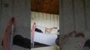 Как я показываю нашу дачу часть 3