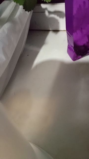 автомат с игрушками