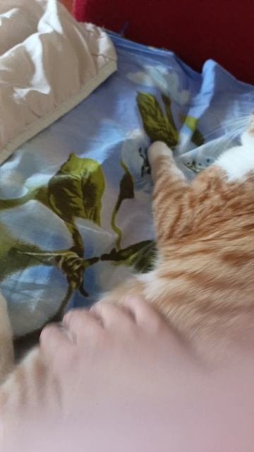 мой кот🫠🤙❤️
НЕЗАБЫВАЕМ, НА ДВА ЛАЙКА ВИДЕО 