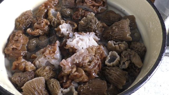 ОДИН СЕКРЕТНЫЙ ШАГ: как сделать строчки и сморчки деликатесом!