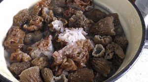 ОДИН СЕКРЕТНЫЙ ШАГ: как сделать строчки и сморчки деликатесом!