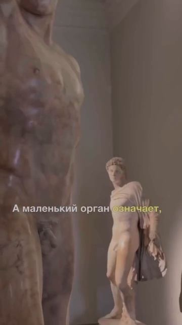 Видео от Департамент Кринжовых Видосов | ДКВ