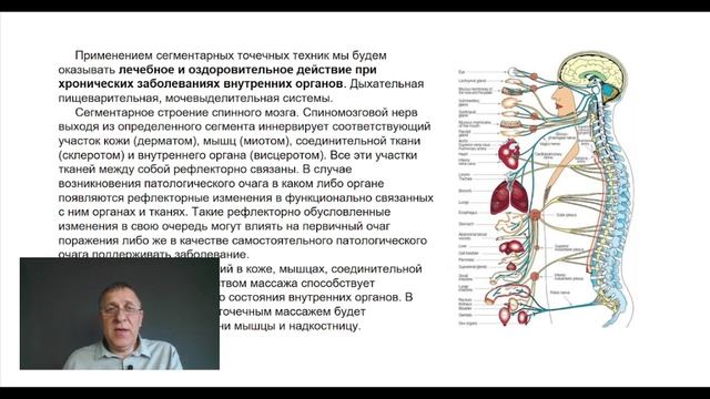 Презентация семинара Точечный массаж