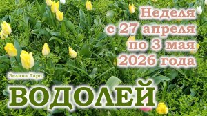 ВОДОЛЕЙ | ТАРО прогноз на неделю с 27 апреля по 3 мая 2026 года