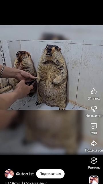 Дайте ему Оскара пожалуйста 😁