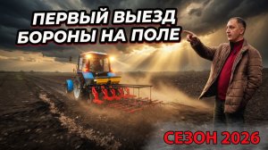 Весеннее пробуждение чеснока. Первый проход штригельной бороной