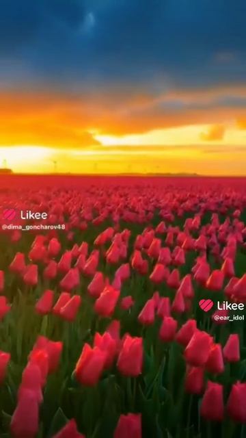 😻😻😻😻🫶🏻🫶🏻🫶🏻🫶🏻