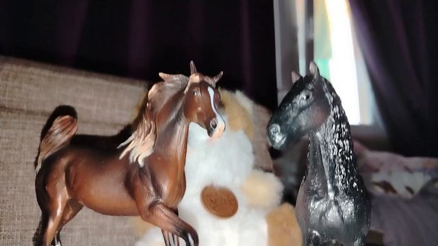 Пиар канала норка коника