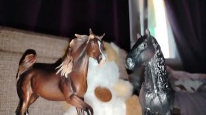 Пиар канала норка коника