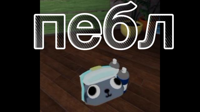 пебл в мир дэнди