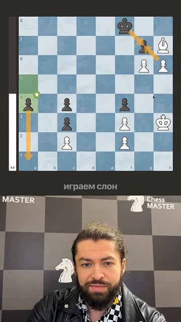 Самый красивый пат в истории! #шахматы #chess