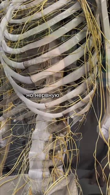 Может ли психолог вылечить псориаз? Смотри бесплатную лекцию — ссылка в шапке профиля 👆