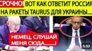 Мерц в УЖАСЕ! Россия в ООН озвучила ответ на ракеты TAURUS для Украины! Небензя