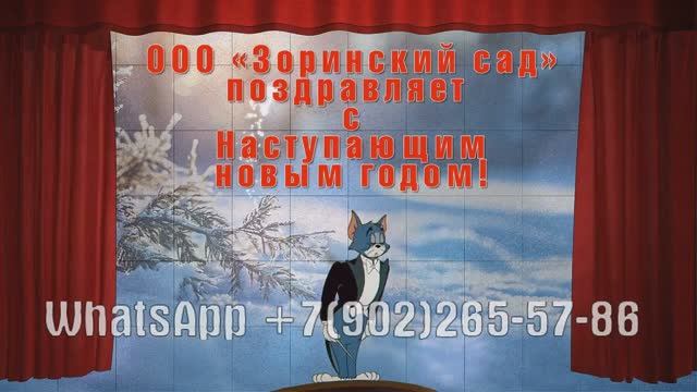 Корпоратив на работе в новый год 2027, поздравительная презентация