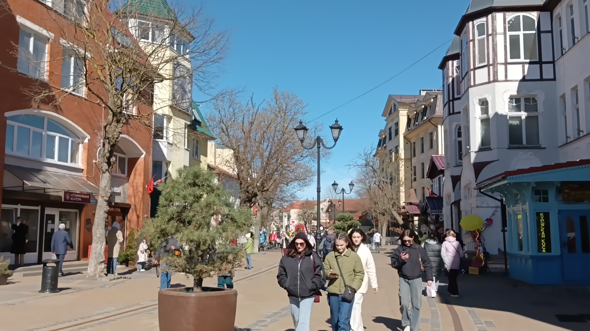 Зеленоградск солнечная прогулка