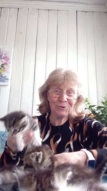 Минутка доброты: стих про котят